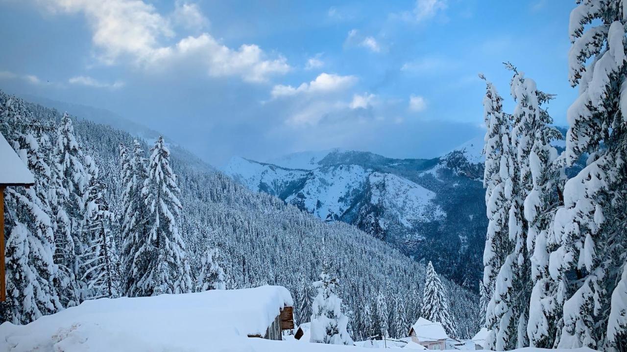 Villa Liqenat Pejë Esterno foto